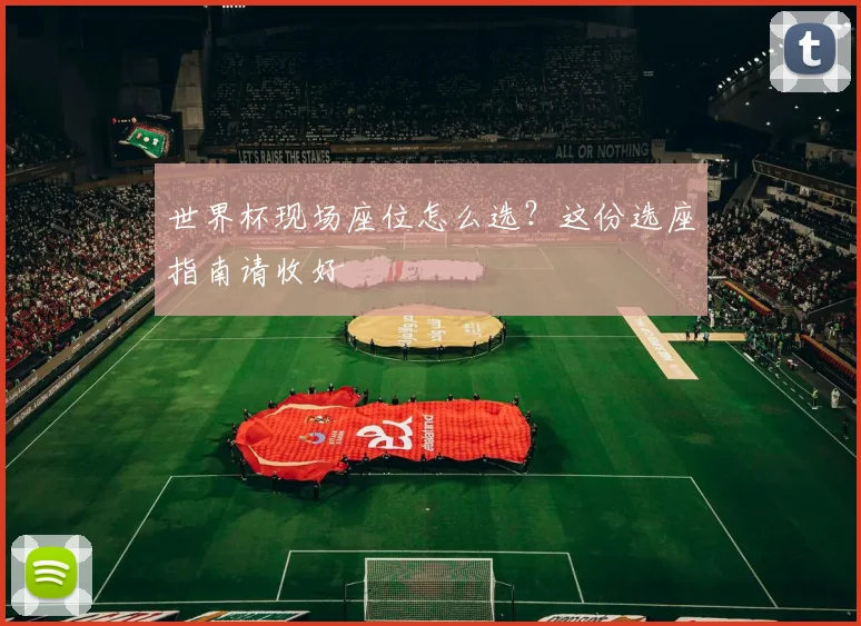 世界杯现场座位怎么选？这份选座指南请收好