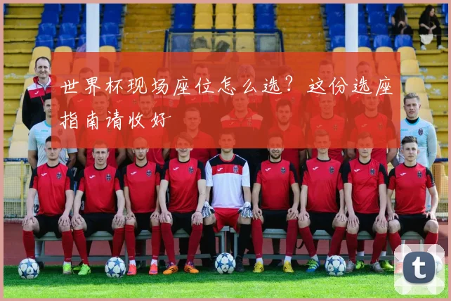 世界杯现场座位怎么选？这份选座指南请收好