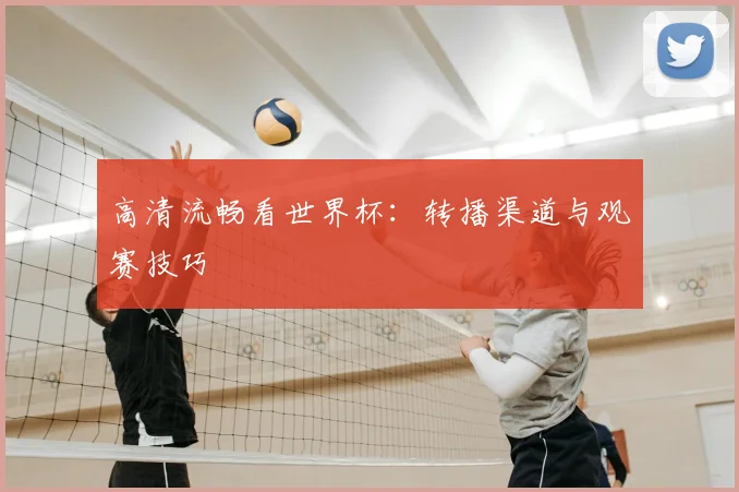 高清流畅看世界杯：转播渠道与观赛技巧