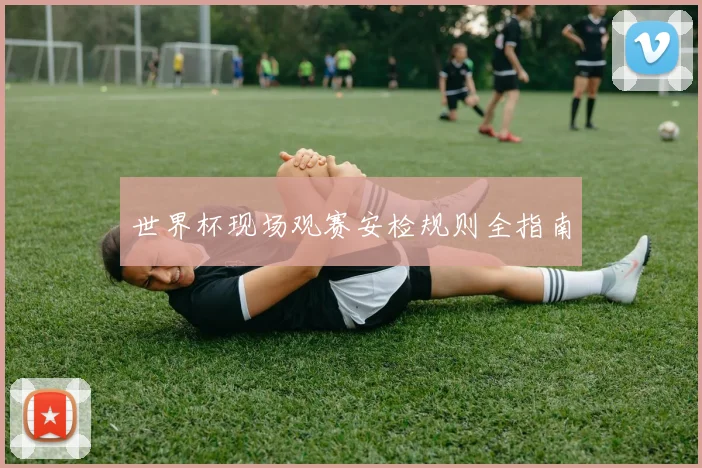 世界杯现场观赛安检规则全指南
